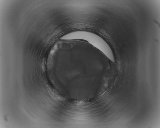 X0000099420074200806061005