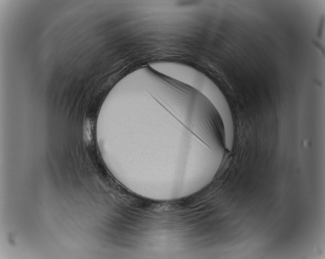 X0000099420075200806061005