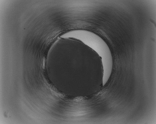 X0000099420076200806061005