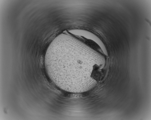 X0000099420077200806061005