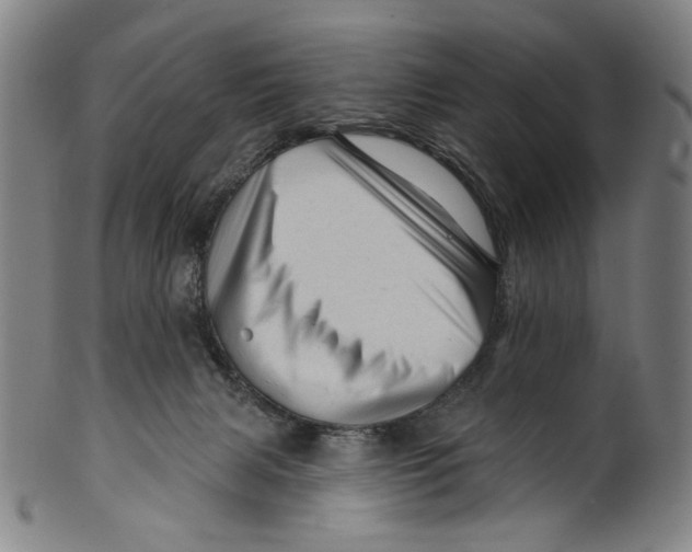 X0000099420079200806061005