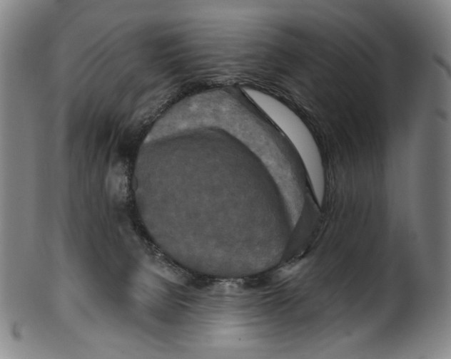 X0000099420080200806061005