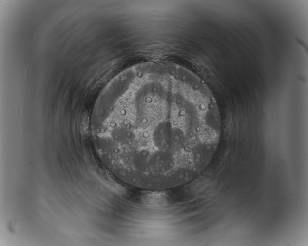 X0000099420081200806061005