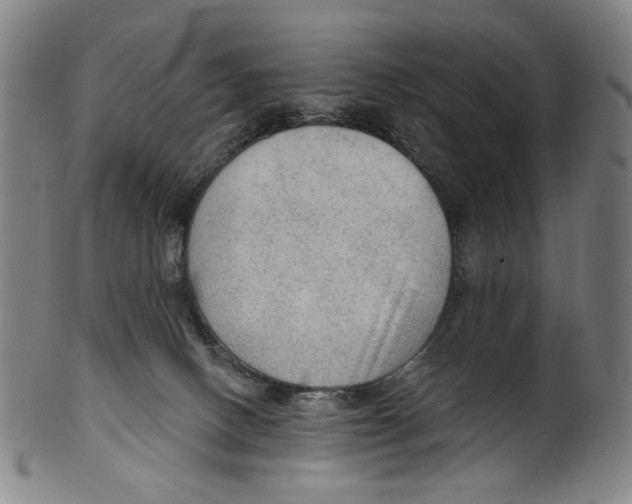 X0000099420082200806061005