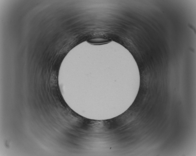 X0000099420083200806061005