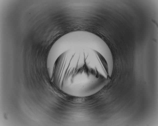 X0000099420084200806061005