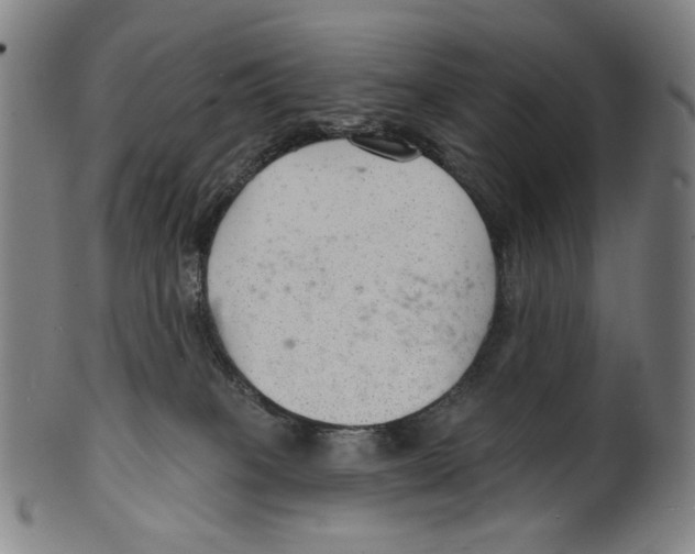 X0000099420085200806061005