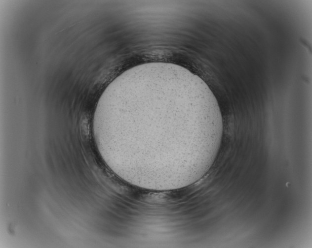 X0000099420086200806061005