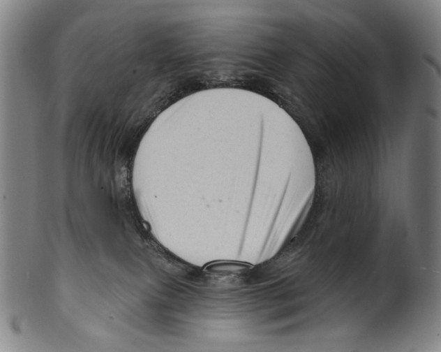 X0000099420087200806061005