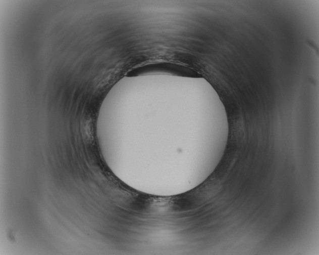X0000099420088200806061005