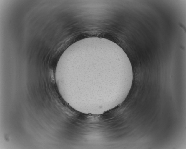 X0000099420089200806061005