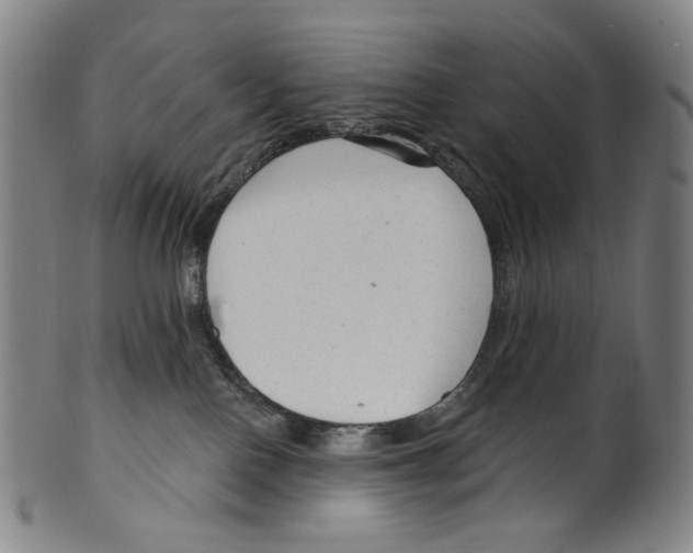 X0000099420090200806061005