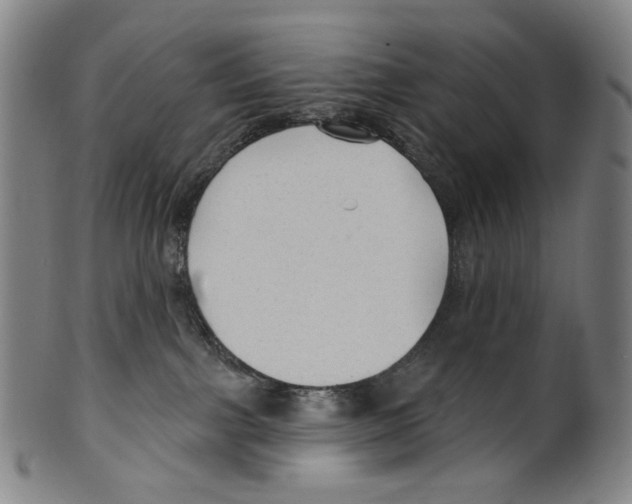 X0000099420091200806061005