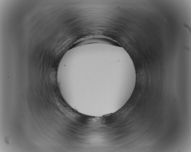 X0000099420092200806061005