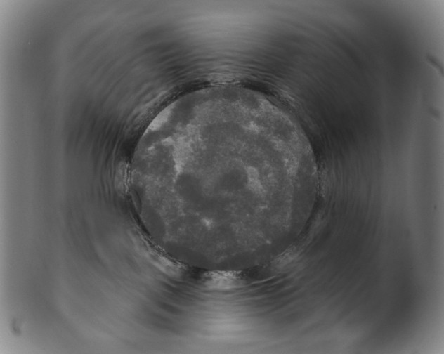 X0000099420093200806061005