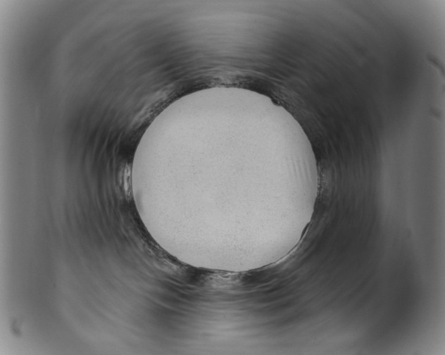 X0000099420094200806061005