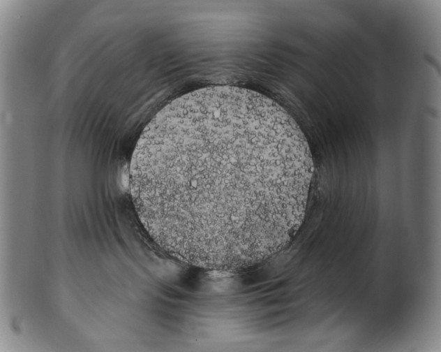 X0000099420095200806061005