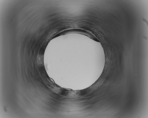 X0000099420096200806061005