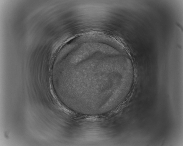 X0000099420097200806061004