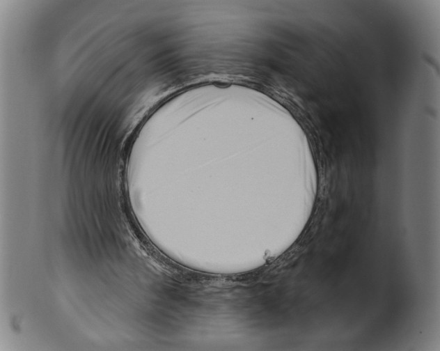X0000099420098200806061004