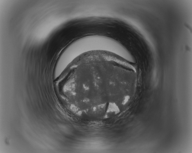 X0000099420099200806061004