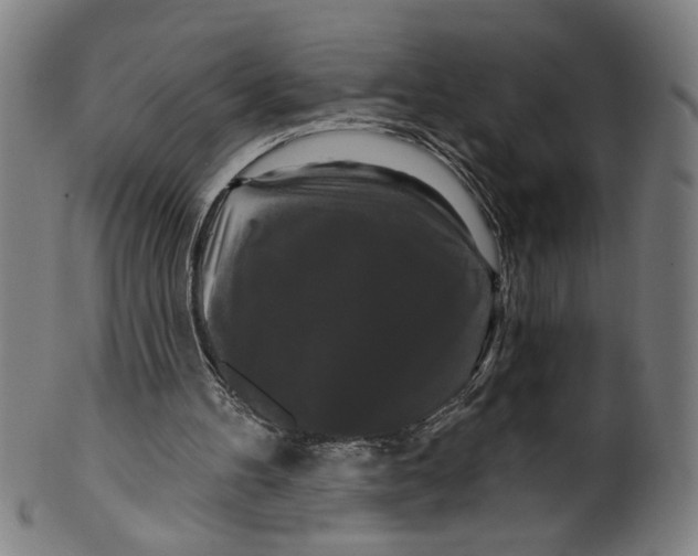 X0000099420100200806061004