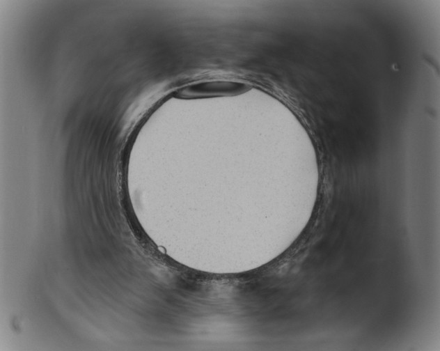 X0000099420103200806061004