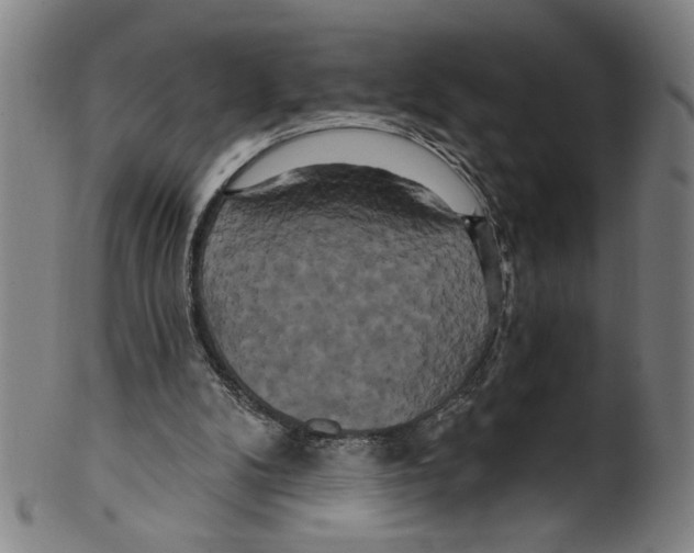 X0000099420104200806061004