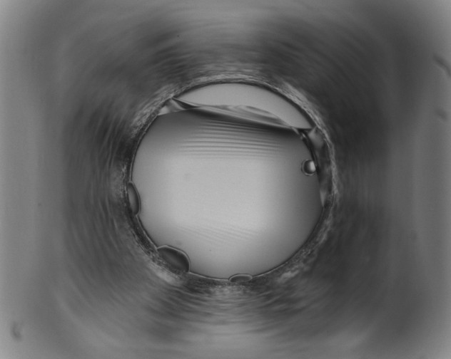 X0000099420105200806061004