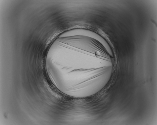 X0000099420106200806061004