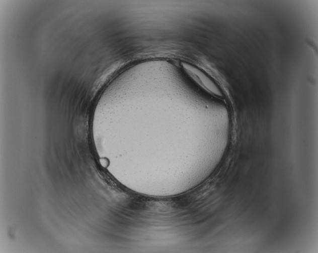 X0000099420107200806061004