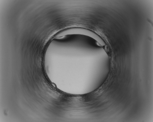 X0000099420108200806061004