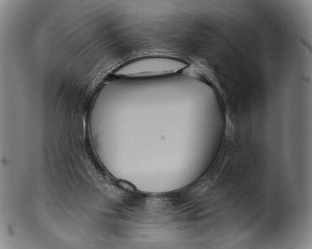 X0000099420109200806061004