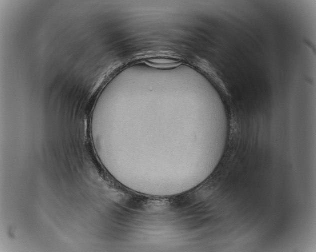 X0000099420110200806061004