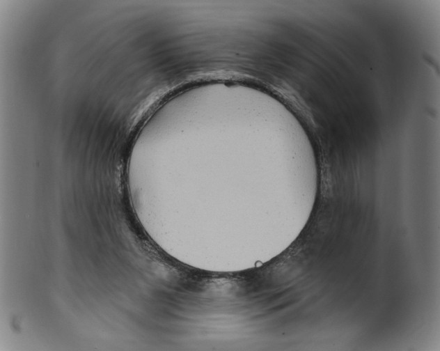 X0000099420111200806061004