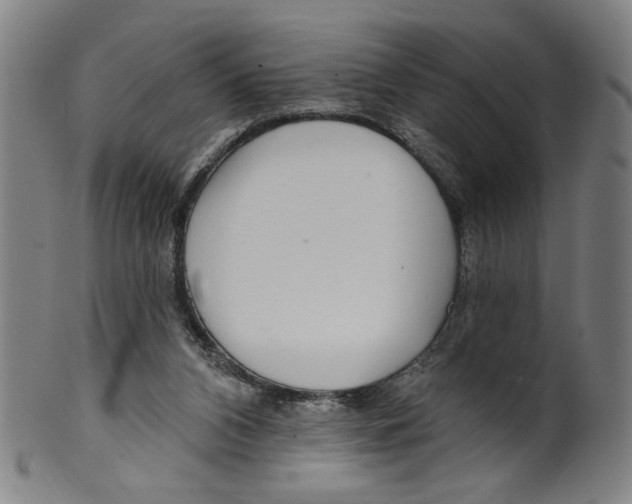 X0000099420112200806061004