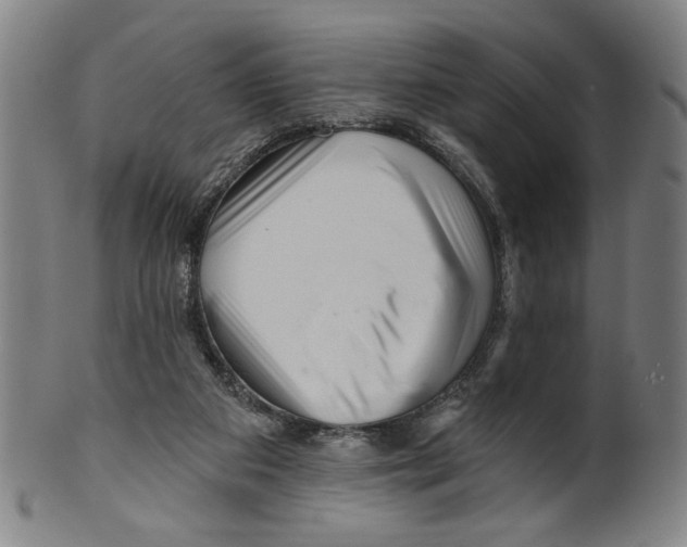 X0000099420113200806061004