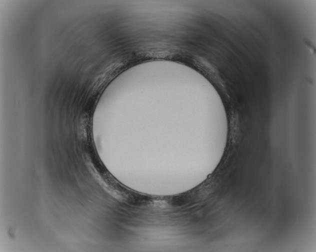 X0000099420114200806061004