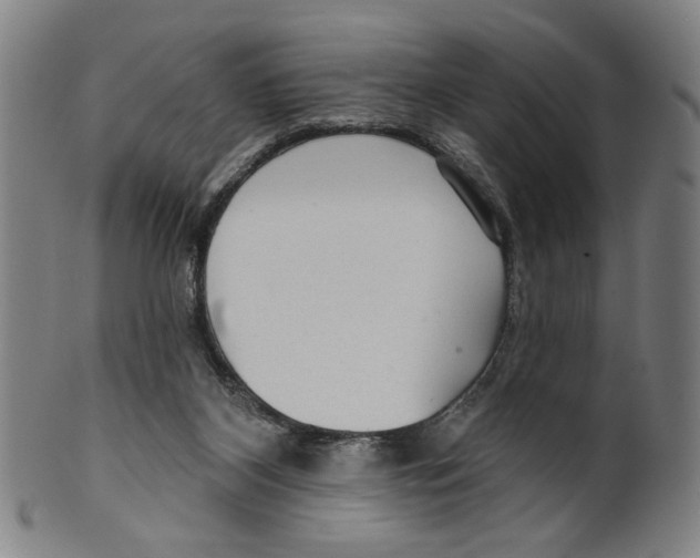 X0000099420116200806061004