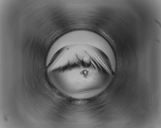 X0000099420117200806061004