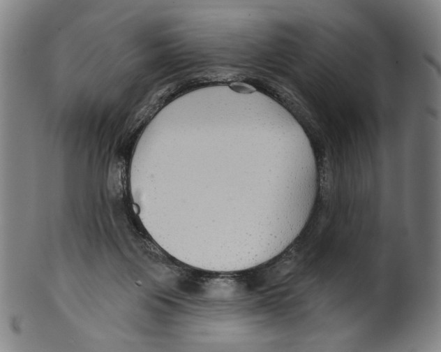X0000099420119200806061004