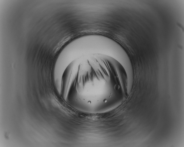 X0000099420120200806061004