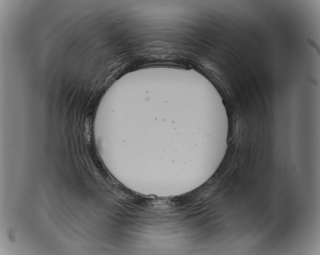 X0000099420121200806061004