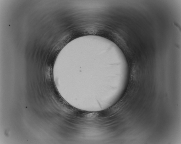 X0000099420122200806061004