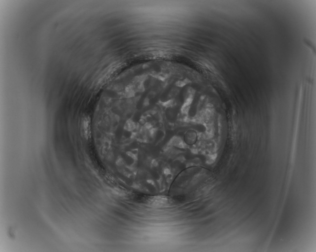 X0000099420123200806061004