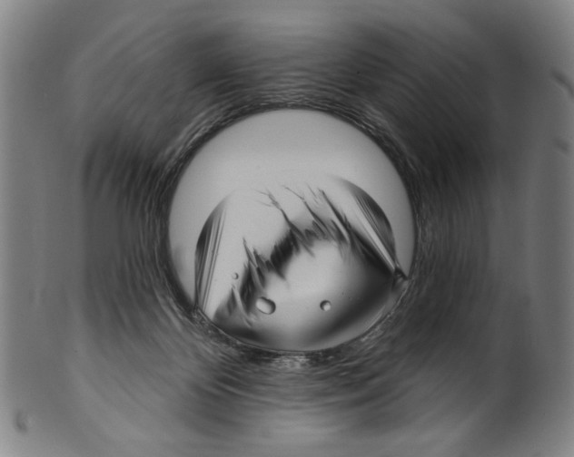 X0000099420124200806061004