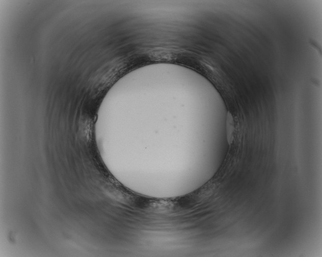 X0000099420125200806061004