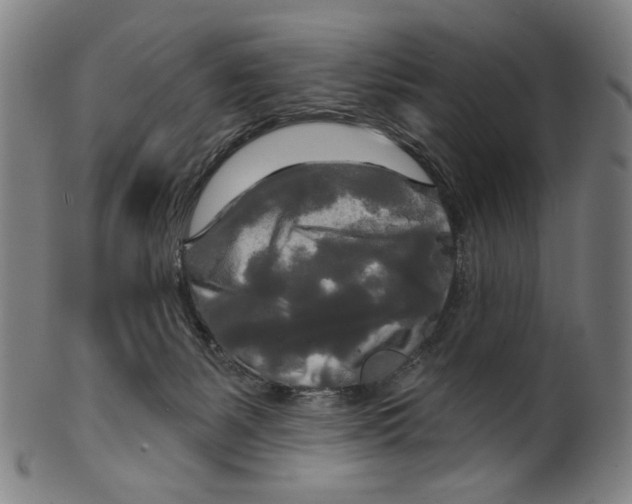 X0000099420127200806061004