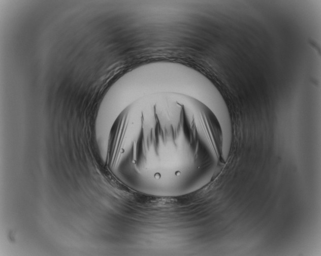 X0000099420128200806061004