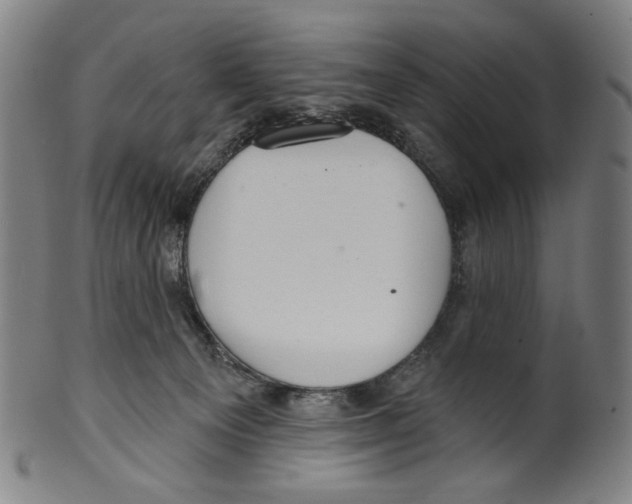 X0000099420129200806061004